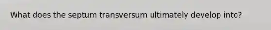 What does the septum transversum ultimately develop into?