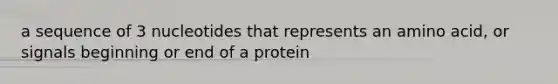 a sequence of 3 nucleotides that represents an amino acid, or signals beginning or end of a protein