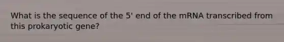 What is the sequence of the 5' end of the mRNA transcribed from this prokaryotic gene?