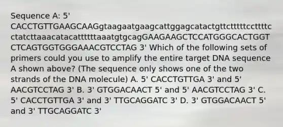 Sequence A: 5' CACCTGTTGAAGCAAGgtaagaatgaagcattggagcatactgttctttttccttttcctatcttaaacatacattttttaaatgtgcagGAAGAAGCTCCATGGGCACTGGTCTCAGTGGTGGGAAACGTCCTAG 3' Which of the following sets of primers could you use to amplify the entire target DNA sequence A shown above? (The sequence only shows one of the two strands of the DNA molecule) A. 5' CACCTGTTGA 3' and 5' AACGTCCTAG 3' B. 3' GTGGACAACT 5' and 5' AACGTCCTAG 3' C. 5' CACCTGTTGA 3' and 3' TTGCAGGATC 3' D. 3' GTGGACAACT 5' and 3' TTGCAGGATC 3'