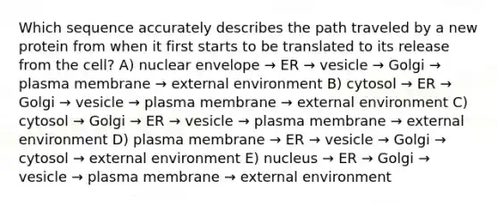 Which sequence accurately describes the path traveled by a new protein from when it first starts to be translated to its release from the cell? A) nuclear envelope → ER → vesicle → Golgi → plasma membrane → external environment B) cytosol → ER → Golgi → vesicle → plasma membrane → external environment C) cytosol → Golgi → ER → vesicle → plasma membrane → external environment D) plasma membrane → ER → vesicle → Golgi → cytosol → external environment E) nucleus → ER → Golgi → vesicle → plasma membrane → external environment