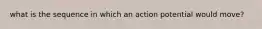 what is the sequence in which an action potential would move?