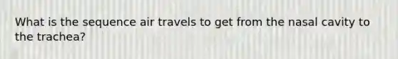 What is the sequence air travels to get from the nasal cavity to the trachea?