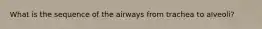 What is the sequence of the airways from trachea to alveoli?