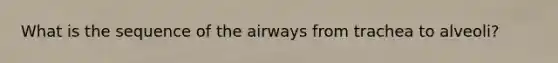 What is the sequence of the airways from trachea to alveoli?