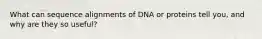 What can sequence alignments of DNA or proteins tell you, and why are they so useful?