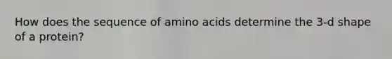 How does the sequence of amino acids determine the 3-d shape of a protein?