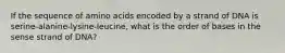 If the sequence of amino acids encoded by a strand of DNA is serine-alanine-lysine-leucine, what is the order of bases in the sense strand of DNA?