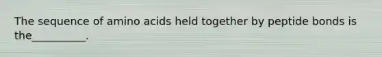 The sequence of amino acids held together by peptide bonds is the__________.