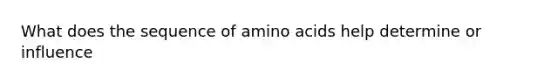 What does the sequence of amino acids help determine or influence