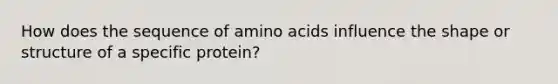 How does the sequence of amino acids influence the shape or structure of a specific protein?