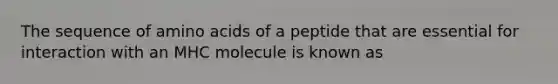 The sequence of amino acids of a peptide that are essential for interaction with an MHC molecule is known as