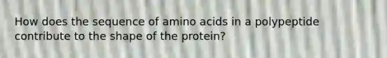 How does the sequence of amino acids in a polypeptide contribute to the shape of the protein?