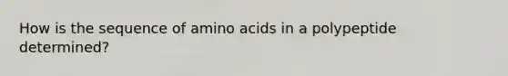 How is the sequence of <a href='https://www.questionai.com/knowledge/k9gb720LCl-amino-acids' class='anchor-knowledge'>amino acids</a> in a polypeptide determined?