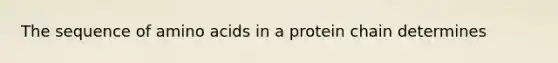 The sequence of amino acids in a protein chain determines