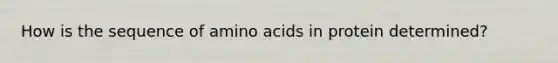 How is the sequence of <a href='https://www.questionai.com/knowledge/k9gb720LCl-amino-acids' class='anchor-knowledge'>amino acids</a> in protein determined?