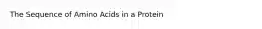 The Sequence of Amino Acids in a Protein