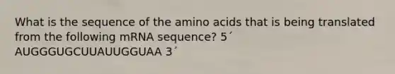 What is the sequence of the amino acids that is being translated from the following mRNA sequence? 5´ AUGGGUGCUUAUUGGUAA 3´