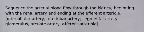 Sequence the arterial blood flow through the kidney, beginning with the renal artery and ending at the efferent arteriole. (interlobular artery, interlobar artery, segmental artery, glomerulus, arcuate artery, afferent arteriole)