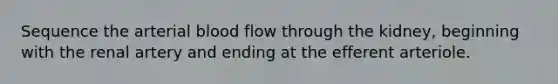 Sequence the arterial blood flow through the kidney, beginning with the renal artery and ending at the efferent arteriole.