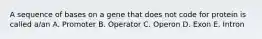 A sequence of bases on a gene that does not code for protein is called a/an A. Promoter B. Operator C. Operon D. Exon E. Intron