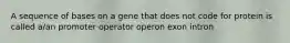 A sequence of bases on a gene that does not code for protein is called a/an promoter operator operon exon intron