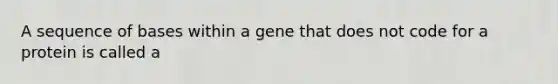 A sequence of bases within a gene that does not code for a protein is called a