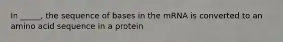 In _____, the sequence of bases in the mRNA is converted to an amino acid sequence in a protein