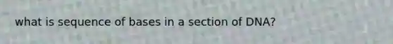 what is sequence of bases in a section of DNA?