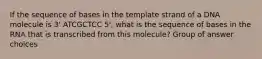 If the sequence of bases in the template strand of a DNA molecule is 3' ATCGCTCC 5', what is the sequence of bases in the RNA that is transcribed from this molecule? Group of answer choices