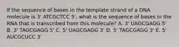 If the sequence of bases in the template strand of a DNA molecule is 3' ATCGCTCC 5', what is the sequence of bases in the RNA that is transcribed from this molecule? A. 3' UAGCGAGG 5' B. 3' TAGCGAGG 5' C. 5' UAGCGAGG 3' D. 5' TAGCGAGG 3' E. 5' AUCGCUCC 3'