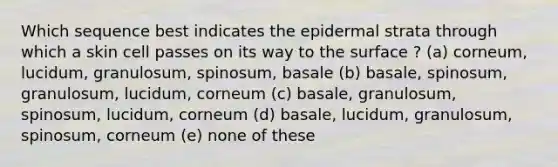 Which sequence best indicates the epidermal strata through which a skin cell passes on its way to the surface ? (a) corneum, lucidum, granulosum, spinosum, basale (b) basale, spinosum, granulosum, lucidum, corneum (c) basale, granulosum, spinosum, lucidum, corneum (d) basale, lucidum, granulosum, spinosum, corneum (e) none of these