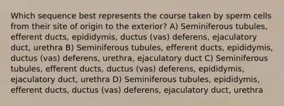 Which sequence best represents the course taken by sperm cells from their site of origin to the exterior? A) Seminiferous tubules, efferent ducts, epididymis, ductus (vas) deferens, ejaculatory duct, urethra B) Seminiferous tubules, efferent ducts, epididymis, ductus (vas) deferens, urethra, ejaculatory duct C) Seminiferous tubules, efferent ducts, ductus (vas) deferens, epididymis, ejaculatory duct, urethra D) Seminiferous tubules, epididymis, efferent ducts, ductus (vas) deferens, ejaculatory duct, urethra