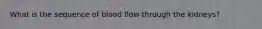 What is the sequence of blood flow through the kidneys?