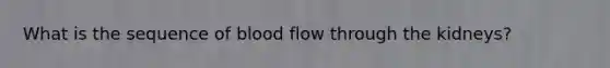 What is the sequence of blood flow through the kidneys?