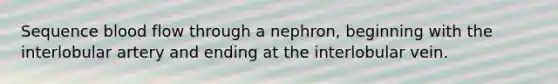 Sequence blood flow through a nephron, beginning with the interlobular artery and ending at the interlobular vein.