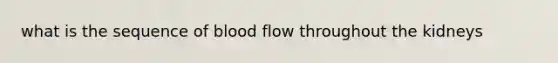 what is the sequence of blood flow throughout the kidneys