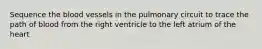 Sequence the blood vessels in the pulmonary circuit to trace the path of blood from the right ventricle to the left atrium of the heart