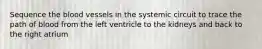 Sequence the blood vessels in the systemic circuit to trace the path of blood from the left ventricle to the kidneys and back to the right atrium