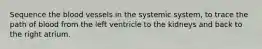 Sequence the blood vessels in the systemic system, to trace the path of blood from the left ventricle to the kidneys and back to the right atrium.