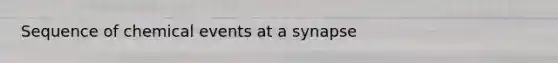 Sequence of chemical events at a synapse