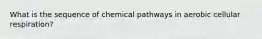 What is the sequence of chemical pathways in aerobic cellular respiration?