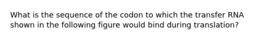 What is the sequence of the codon to which the <a href='https://www.questionai.com/knowledge/kYREgpZMtc-transfer-rna' class='anchor-knowledge'>transfer rna</a> shown in the following figure would bind during translation?