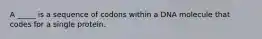 A _____ is a sequence of codons within a DNA molecule that codes for a single protein.