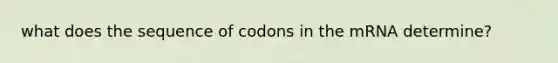 what does the sequence of codons in the mRNA determine?