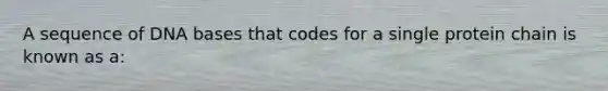 A sequence of DNA bases that codes for a single protein chain is known as a: