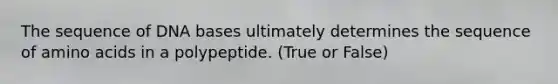 The sequence of DNA bases ultimately determines the sequence of amino acids in a polypeptide. (True or False)