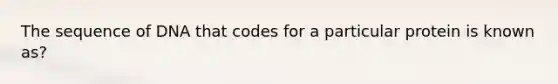 The sequence of DNA that codes for a particular protein is known as?