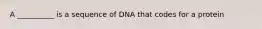 A __________ is a sequence of DNA that codes for a protein