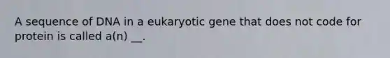 A sequence of DNA in a eukaryotic gene that does not code for protein is called a(n) __.